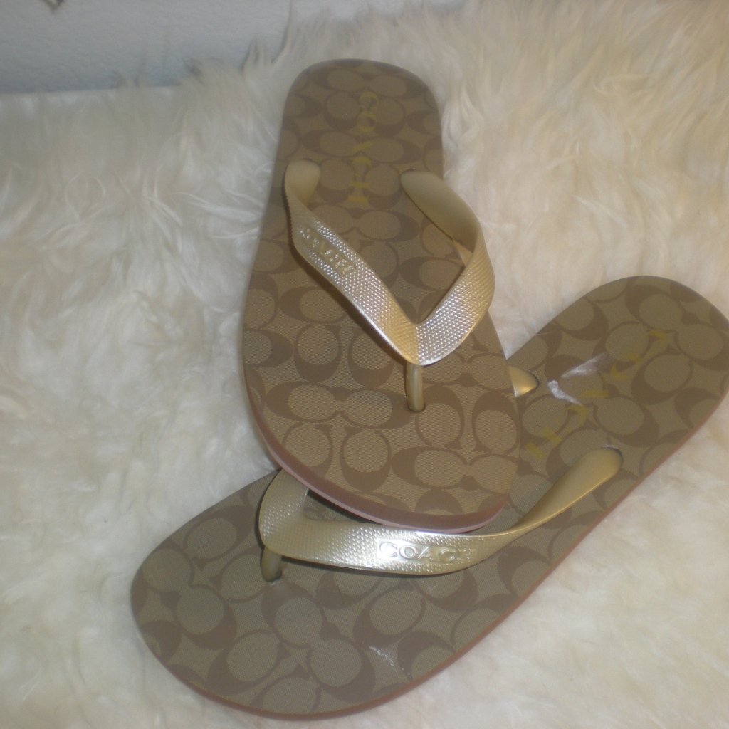 Coach Brand Flip Flop Sandal Size 8b Gold New Fg3434
